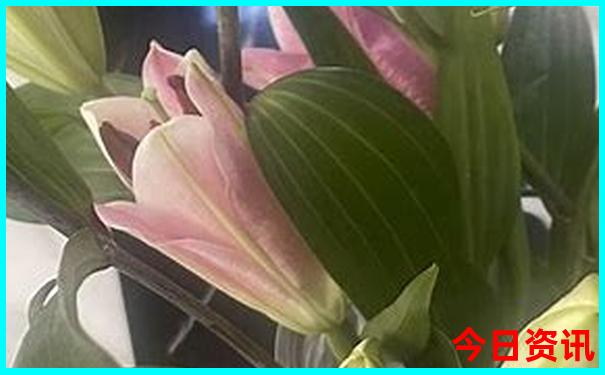 中国十大名菜排行榜前十名